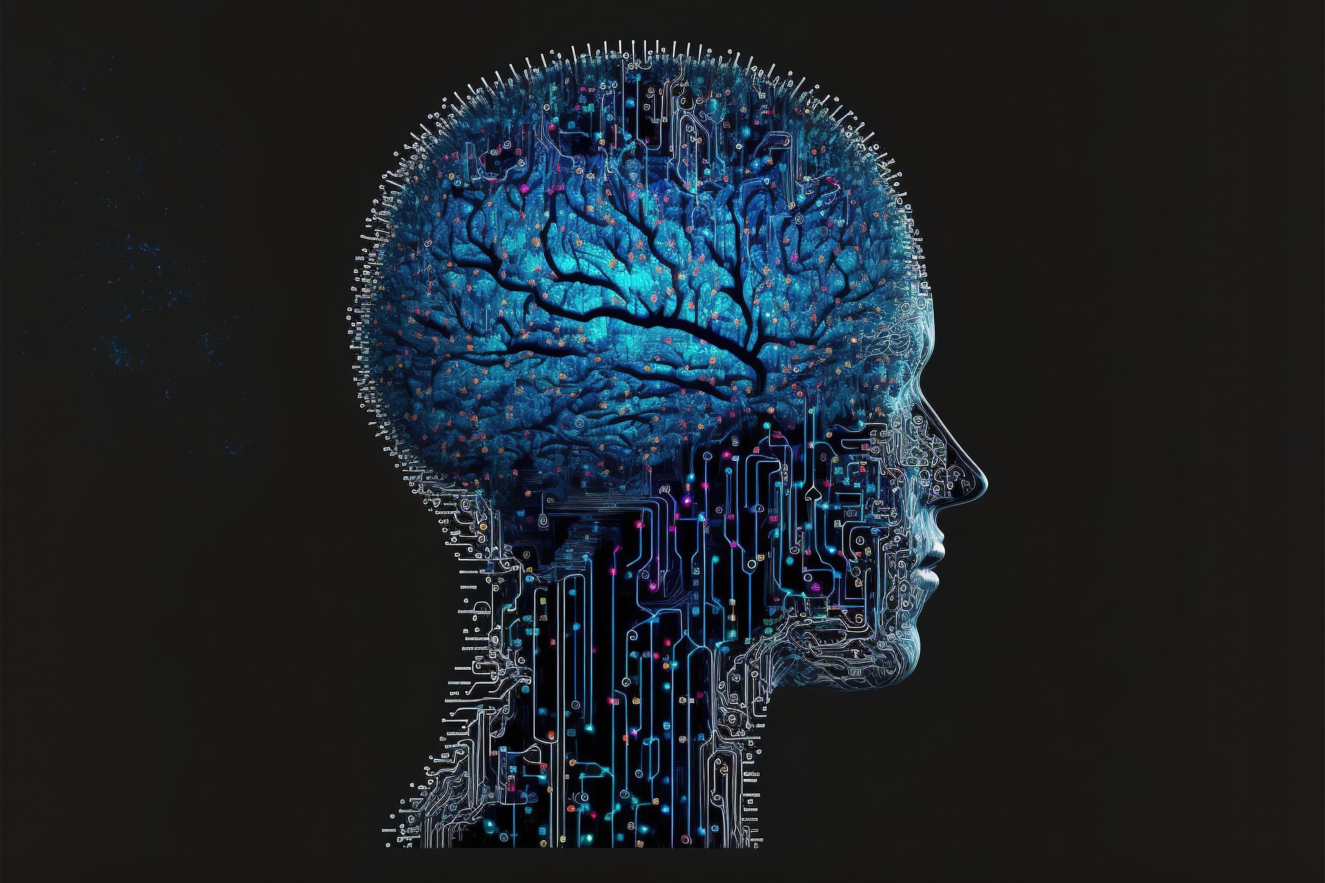 Imagem de Kohji Asakawa por Pixabay